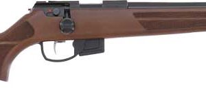 Anschutz 1761 HB 17HMR Rifle